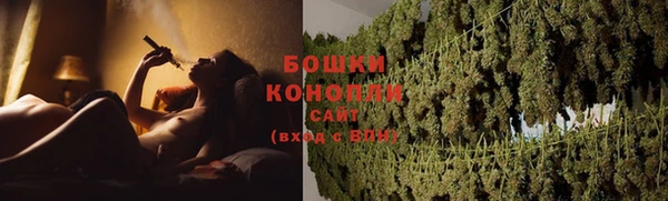 шишки Богданович
