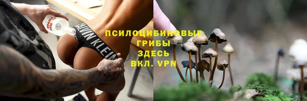 стаф Бронницы