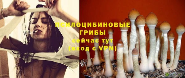 бошки Бугульма